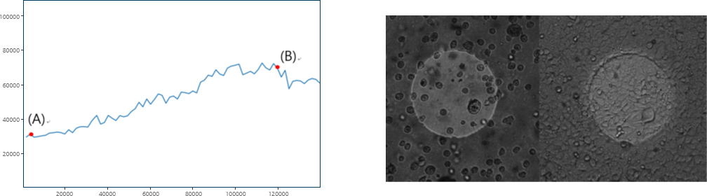 Impedance change graph and microscope images